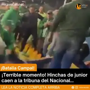 Violencia Descontrolada: Batalla Campal entre Hinchas de Junior y Nacional