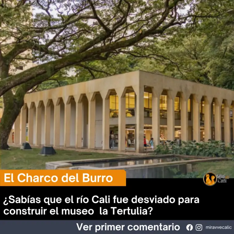 El Charco del Burro: Un Testigo Silencioso del Pasado Caleño