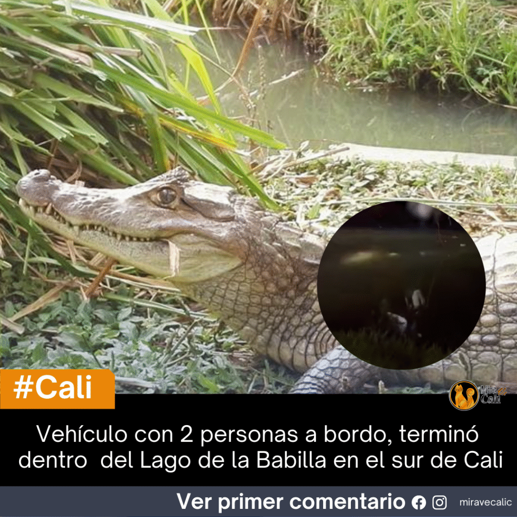 Vehículo terminó dentro del Lago de la Babilla en el sur de Cali